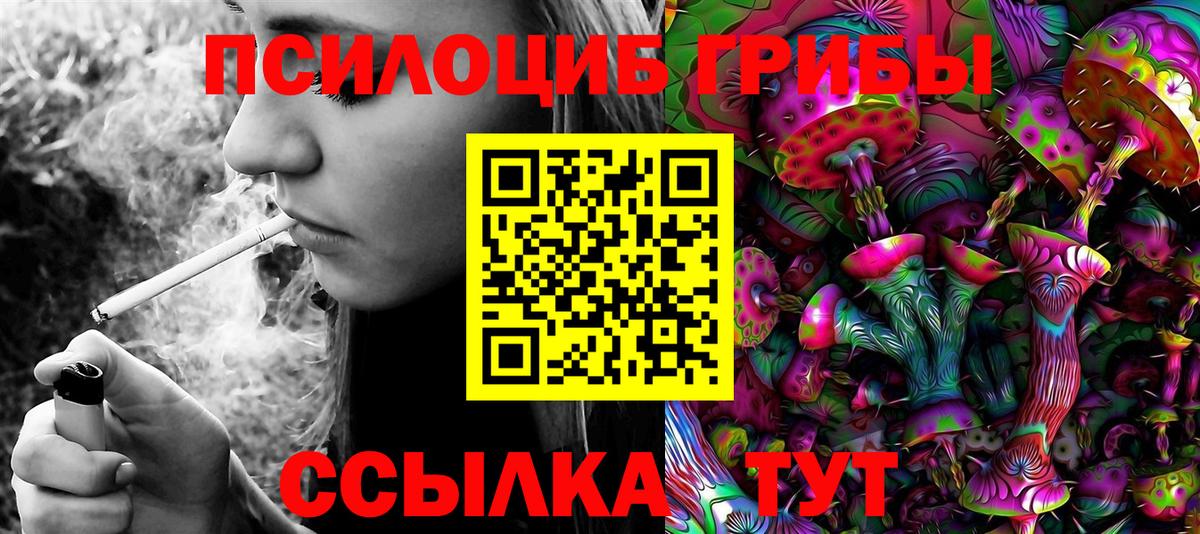 Псилоцибиновые грибы GOLDEN TEACHER Добрянка